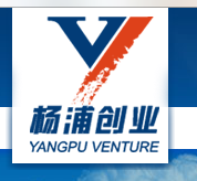 上海杨浦科技创业中心有限公司